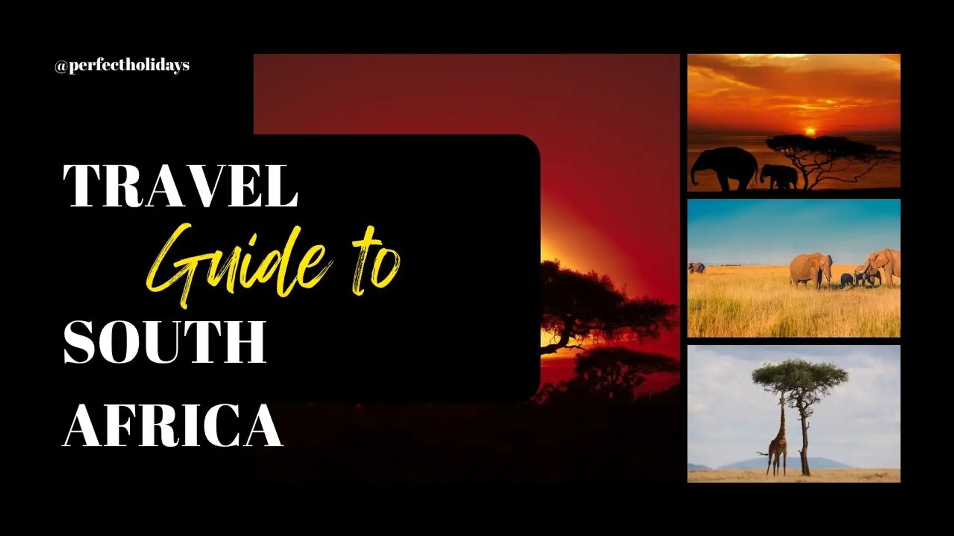 687621006ebf5e330bb2d9a7